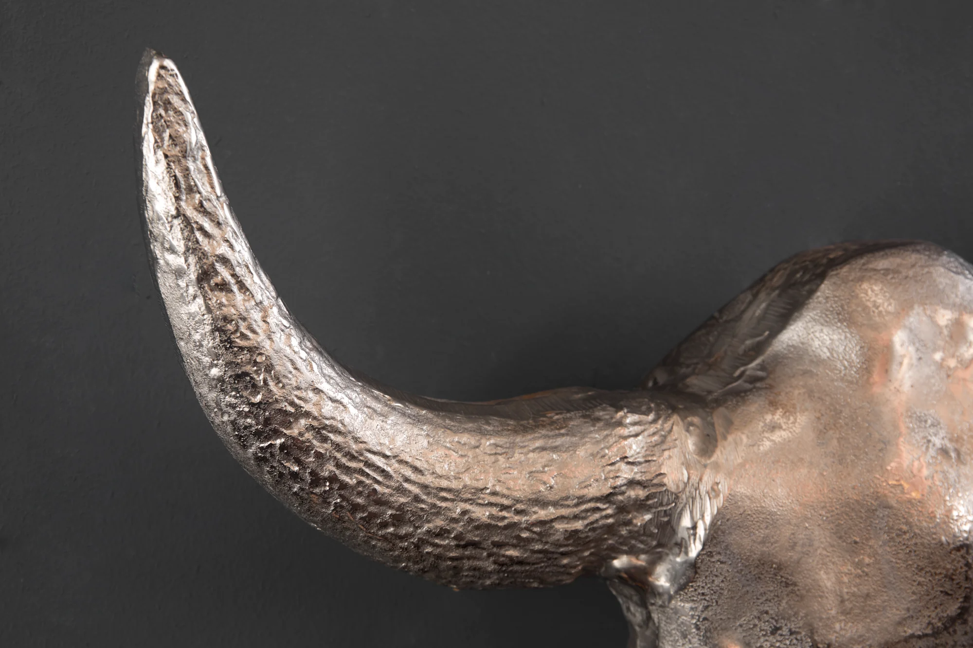 Bull Head Matador Silver Skull Wall Decoration 56cm - Image 3