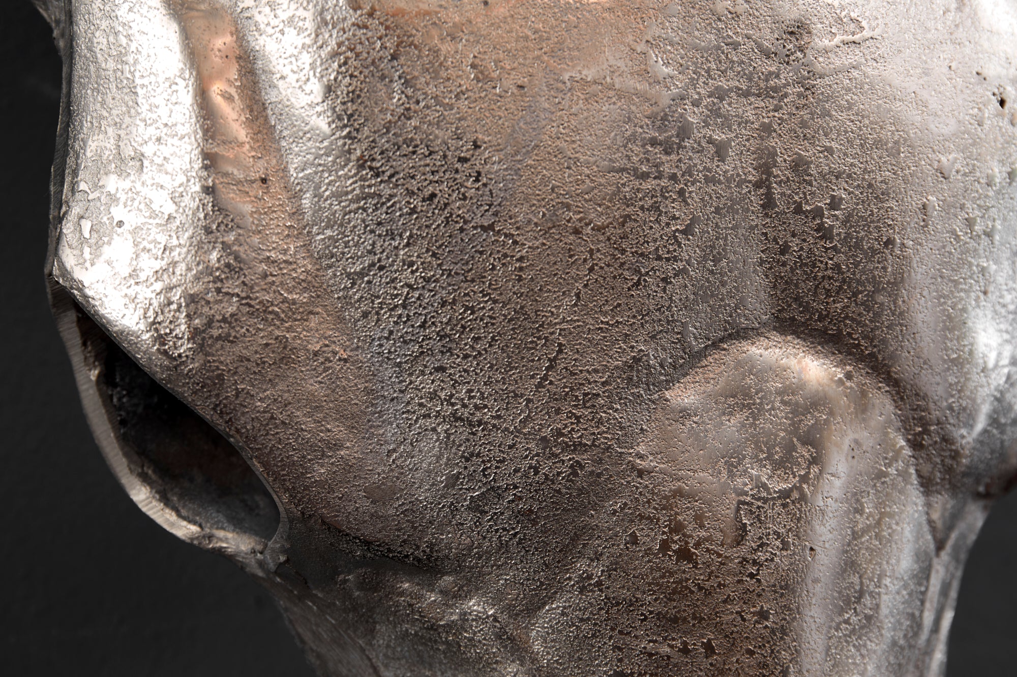 Bull Head Matador Silver Skull Wall Decoration 56cm - Image 4