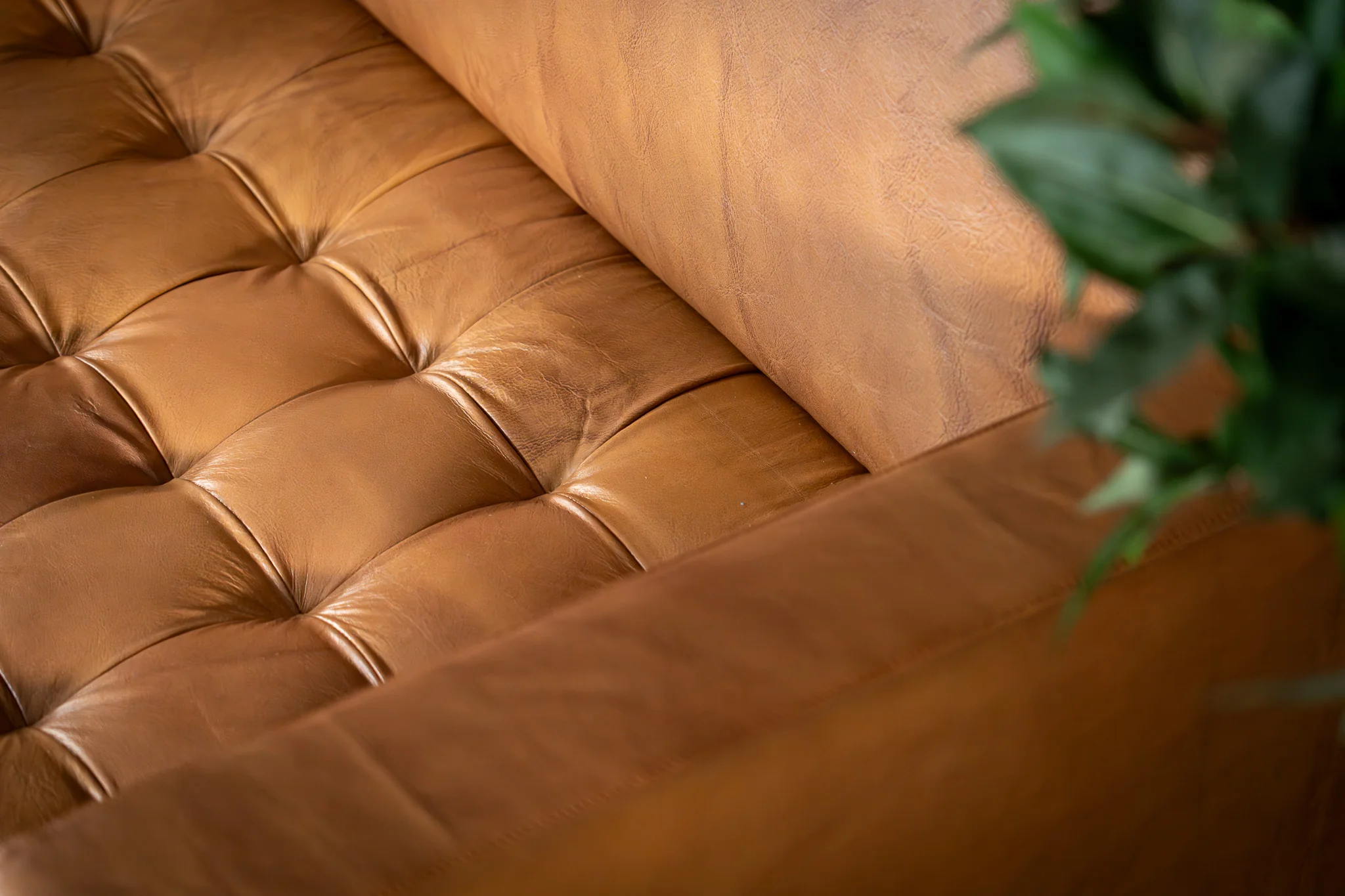Genuine Leather 3 Seater Sofa 185 cm – California Light Brown - Image 8